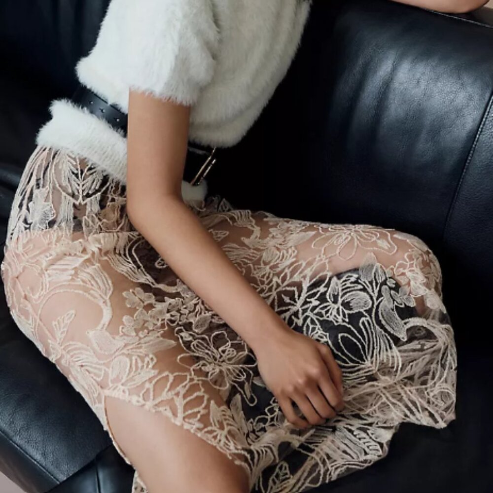 Anthropologie Sheer Embroidered Skirt
